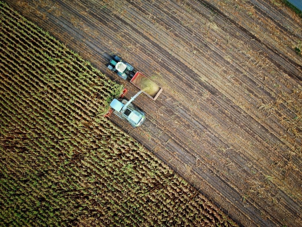 sistema integrado de produção agropecuária